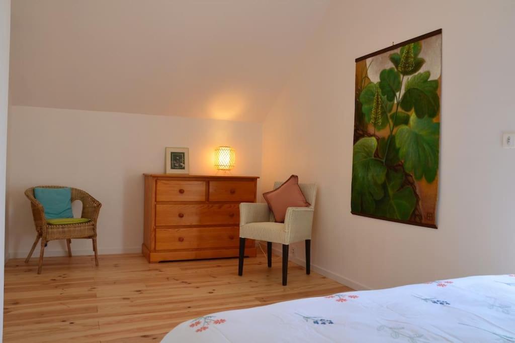 La Maison Des Cordelles Saint-Denis-en-Val 外观 照片