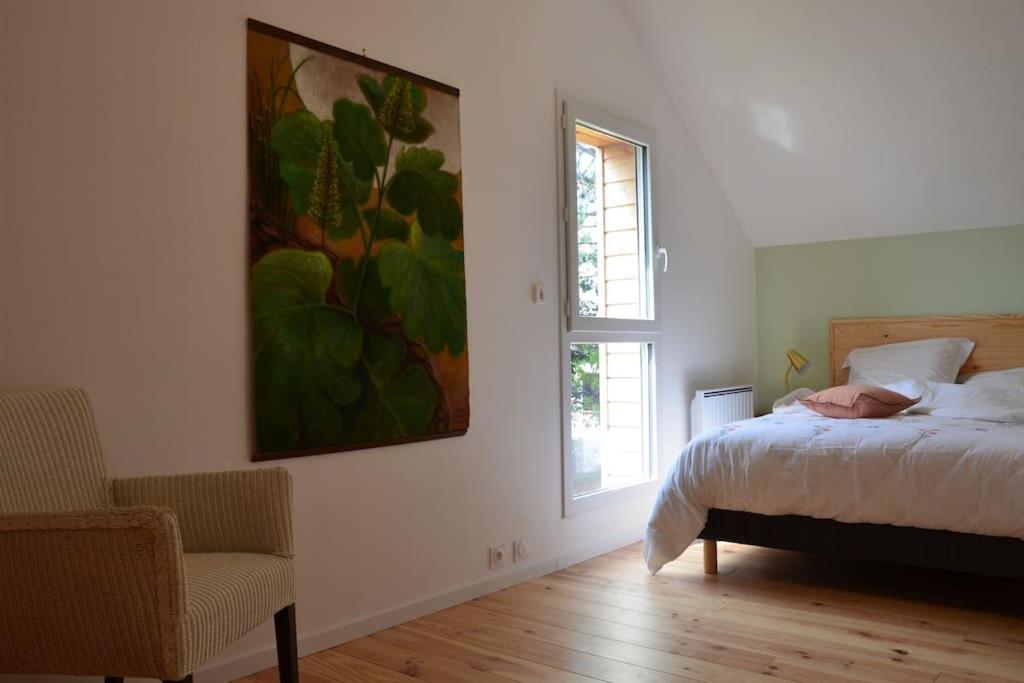 La Maison Des Cordelles Saint-Denis-en-Val 外观 照片